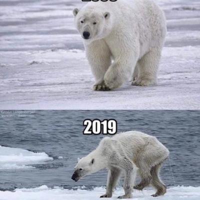 Ten Years Challenge